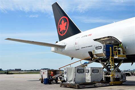 air canada airfleets|Air Canada Cargo.